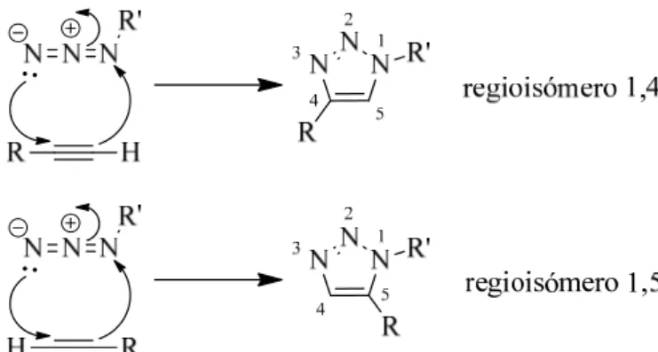 Figura 15 - Mecanismo da cicloadição de Huisgen na obtenção dos regioisómeros 1,4 ou 1,5
