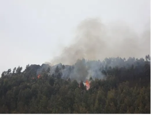 Fot. 1 – Incêndio florestal na Serra de Santa Justa em Valongo  