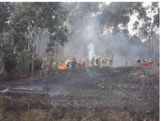 Fot. 2 – Exercício de fogo controlado na freguesia de Valongo  