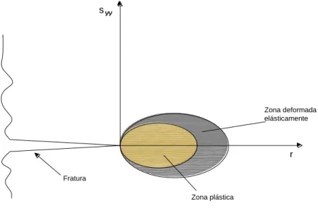 Figura 2.8 – Representação da distribuição das deformações na frente da fratura 