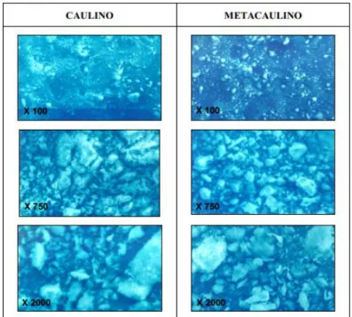 Figura 3 - Fotografias de caulino e caulino incinerado (metacaulino) obtido por microscopia  electrónica de varrimento (Sampaio el al., 2001) 