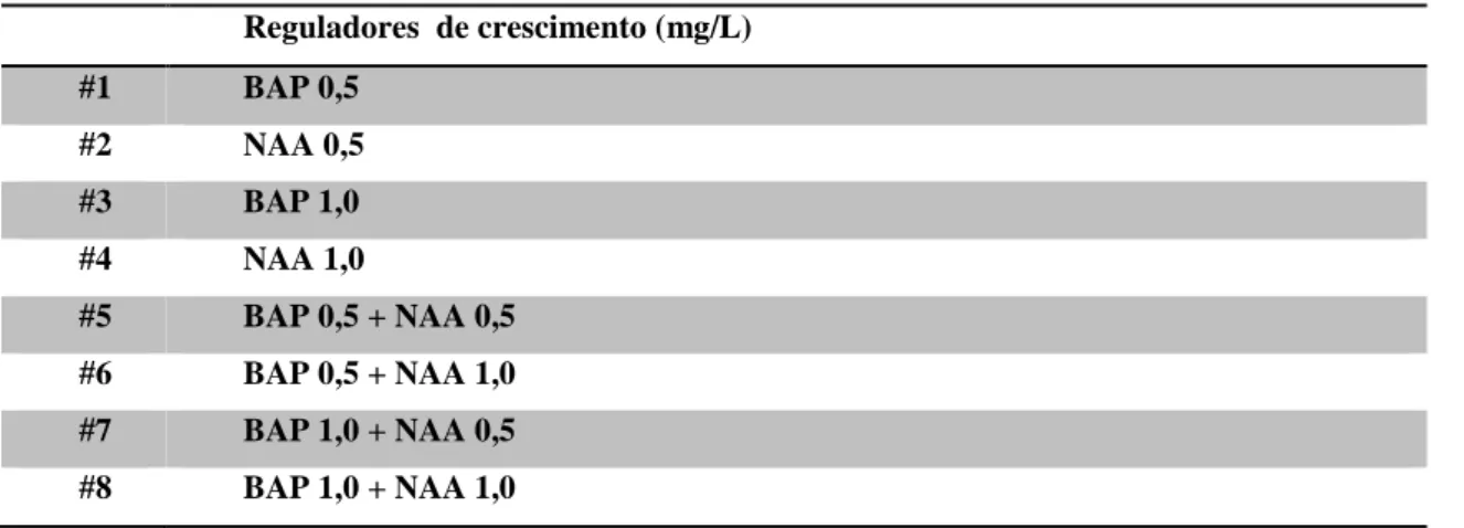 Tabela 4 – Combinações hormonais de auxina e/ou citocinina e respectivas concentrações testadas em meio PM sólido