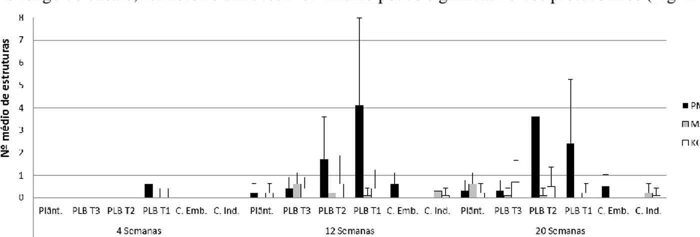 Fig. 12 – Número  médio (n=10; +SD) de protocormos de cada classe de desenvolvimento (PL T-1, PL T-2, PL T-3, Plântulas) e  de  calli embriogénicos (C