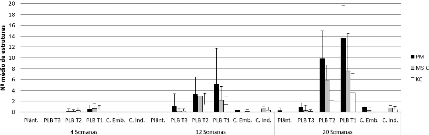 Fig. 13 – Número  médio (n=10; +SD) de protocormos de cada classe de desenvolvimento (PL T-1, PL T-2, PL T-3, Plântulas) e  de  calli embriogénicos (C