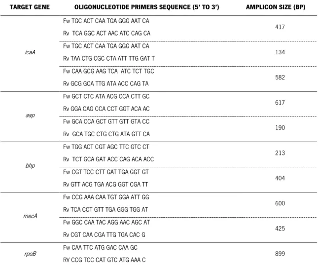 Table 2.1 Information of the primers. 