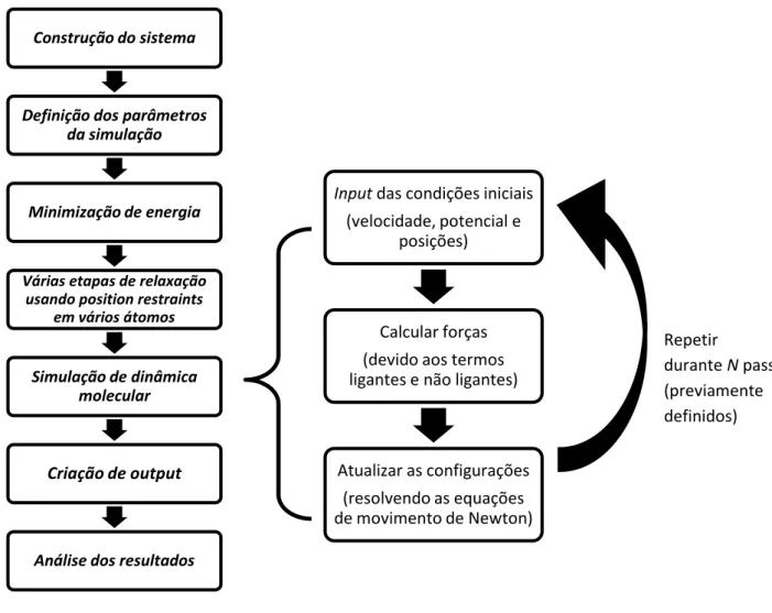 Figura 19- Diagrama de um algoritmo que realiza simulações de dinâmica molecular. 