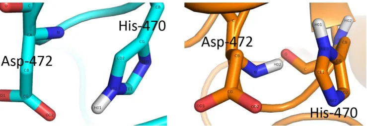 Figura 31- Posições dos resíduos 470 e 472 nas estruturas 3BLB (a azul) e na estrutura 2F1A (a laranja)