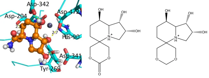 Figura  51-Swainsonina  5-substituída  ligada  à  estrutura 98570. A amarelo estão as pontes de  hidrogénio