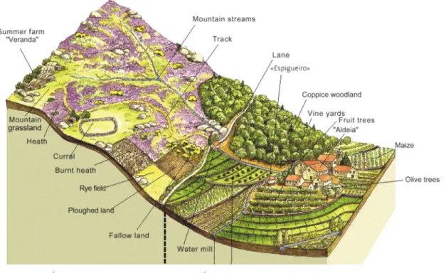 Figura 3.1 - Organização espacial dos sistemas tradicionais no PNPG (Grupo de Trabalho  Agroambiental, 2002) 