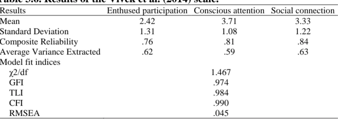 Table 3.6. Results of the Vivek et al. (2014) scale. 