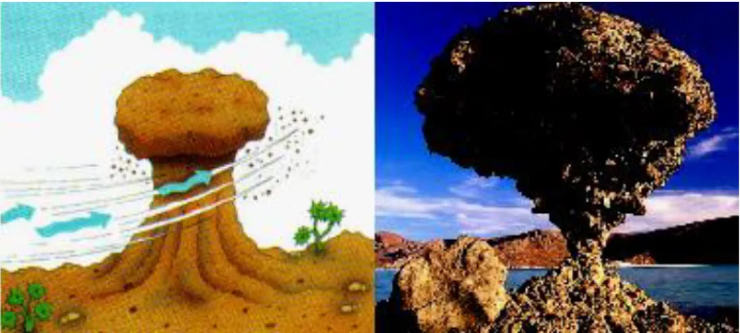 Figura 2.3 Exemplo de formação de uma rocha cogumelo e fotografia de uma  