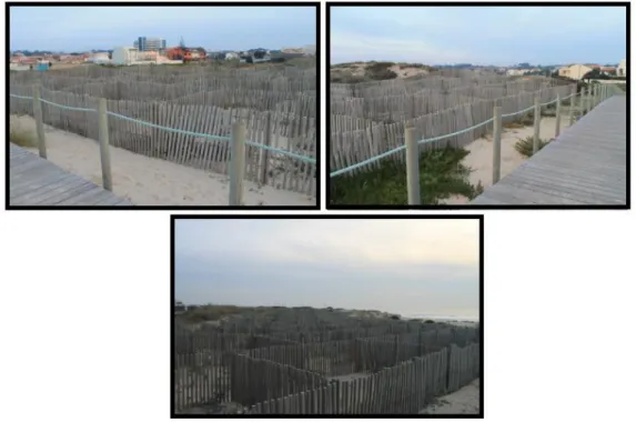 Figura 3.9 Praia de Francemar – passadiço delimitando a zona de praia e cordão dunar  
