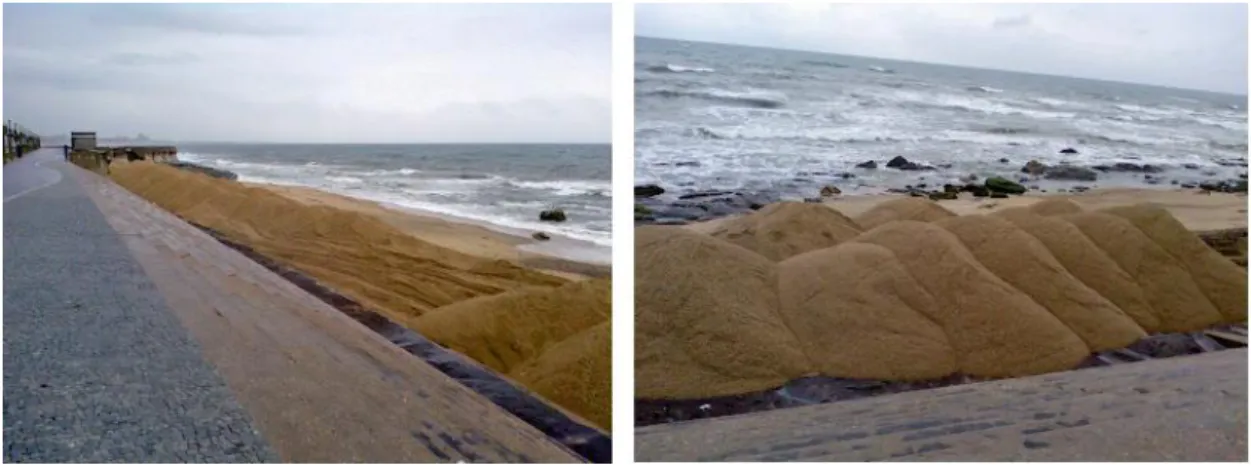 Figura 3.14 Ações de recarga de areia na praia da Granja, maio de 2008  