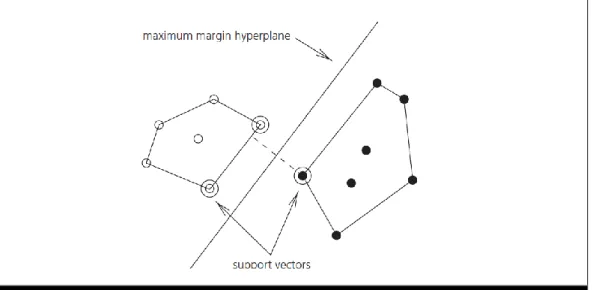 Figure 1. Maximum margin hyperplane and support vectors  Source: (Witten &amp; Frank, 2005) 