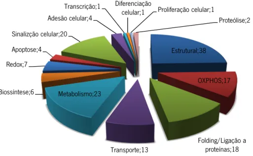 Figura 6: Distribuição por classes funcionais das proteínas identificadas nos tecidos do Paciente analisado neste estudo, segundo a base de dados Gene Ontology Annotation (GOA).