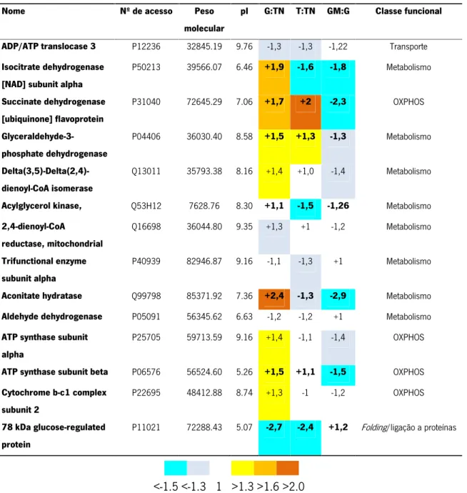 Tabela 2: Análise  comparativa  das  proteínas  mitocondriais  diferentemente  expressas  entre  tecido  não  tumoral (TN),  tumoral  (T),  gânglio  normal  (G)  e  gânglio  metastizado  (GM),  utilizando  iTRAQS (análises  efetuadas  em duplicado).