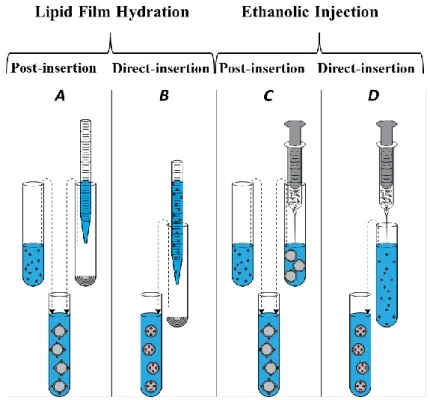 Figure 3.1 shows a representation of the different methodologies applied in this work to attach  peptide molecules to lipid vesicles