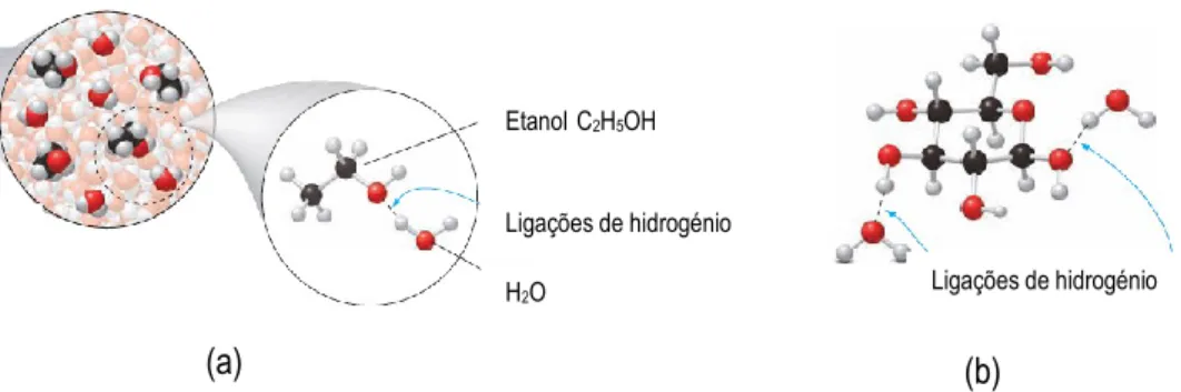 Fig. 37 – Processo de hidratação. (a) Dissolução do etanol em água. (b) Dissolução da glicose em água  em que vários grupos OH podem formar ligação por pontes de hidrogénio com a água [16]