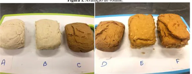 Figura 1. Avaliação do volume. 