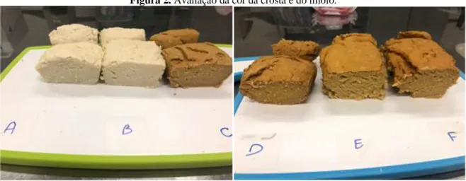Figura 2. Avaliação da cor da crosta e do miolo. 