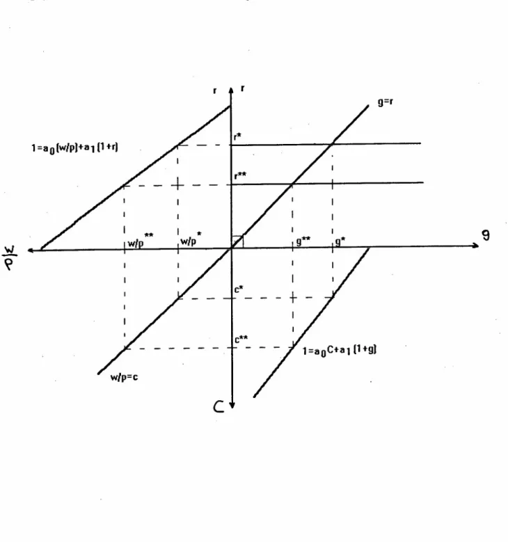 Gráfico 2.2.1 : Modelo Neo-Marxista Completo r r 1 =ao[w/p)+a1 (1 +rJ g=r + wl I *w/p 9 l=aoC+al (1+9)