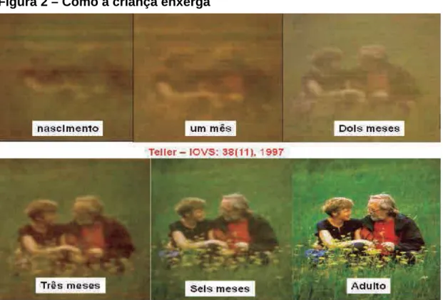 Figura 2 – Como a criança enxerga 