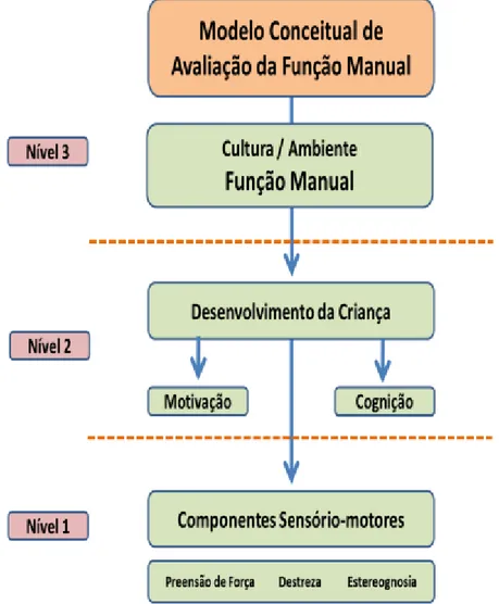 Figura 5 – Modelo Conceitual de Avaliação da Função Manual 