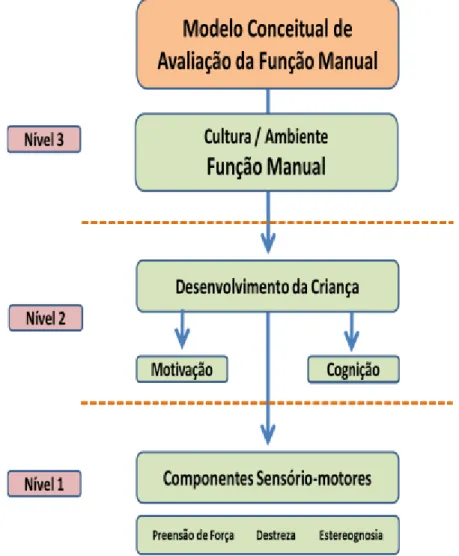Figura 5 – Modelo Conceitual de Avaliação da Função Manual 