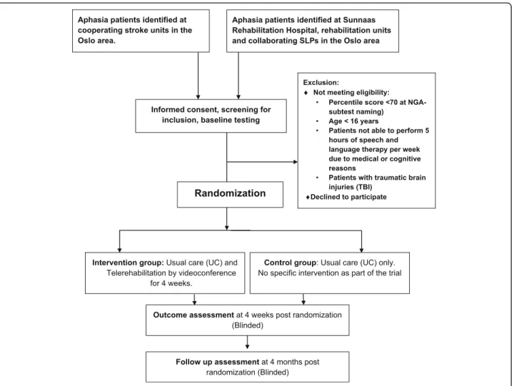 Fig. 1 Flow diagram trial design