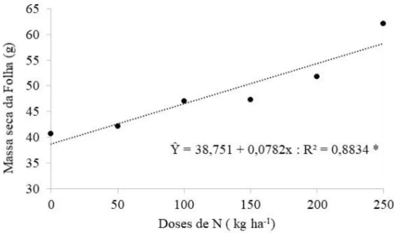 Figura 4. Massa seca da folha (g) do girassol em função de doses de N. *equação significativa a 0,05 de probabilidade  pelo teste F