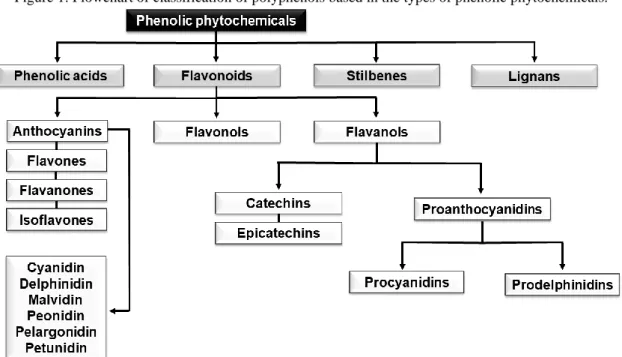 Figure 1. Flowchart of classification of polyphenols based in the types of phenolic phytochemicals.