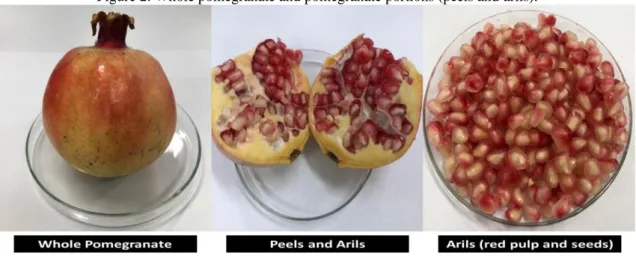 Figure 2. Whole pomegranate and pomegranate portions (peels and arils). 