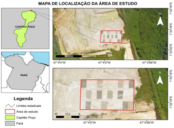 Figura 1 – Vista geral do experimento na área degradada pela mineração de seixo, no município de Capitão Poço, Pará