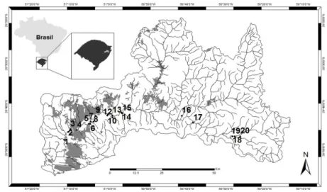 Figura 1 - Mapa com pontos de amostragem de jusante a montante, em cinza con- con-centração de áreas urbanas e linhas prestas drenagem do Rio dos Sinos