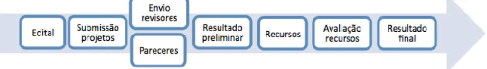 Figura 1 - Fluxo geral do processo de submissão e avaliação dos projetos submetidos  à Pró-Reitoria de Pesquisa e Pós-Graduação da Universidade Estadual do Rio Grande  do Sul (ProPPG-UERGS)