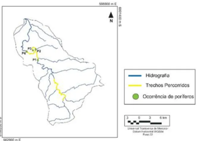 Figura 2- As 04 estações amostrais, que correspondem a trechos contínuos de rio  com aglomerações de registros de esponjas