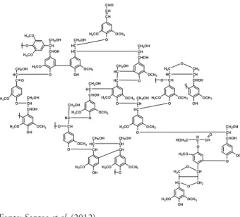 Figura 3 - Representação esquemática da molécula de lignina   de eucalipto.