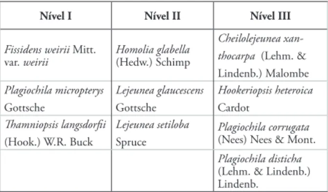 Tabela 2 –  Espécies de briófitas epífitas exclusivas de cada  nível amostrado. 
