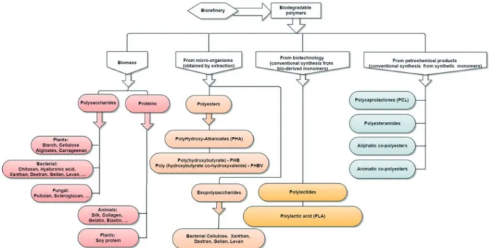 Figure 8. Categories of biodegradable polymers Adapted from: Novak et al. (2014); Avérous (2013).