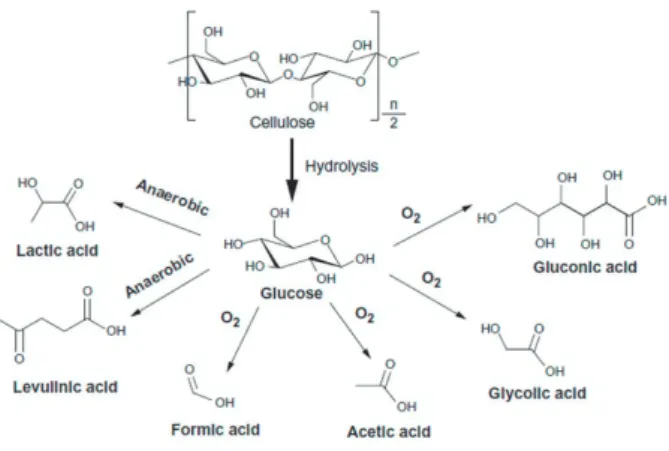 Figure 9. Starch chemical structure.  