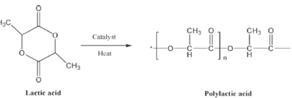 Figure 12. Synthesis of PLA. 