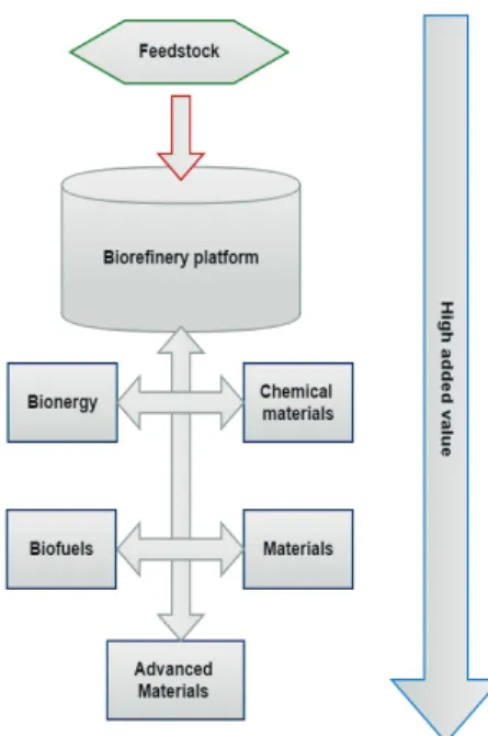Figure 1. Biomass utilization in line with the concept of  biorefi nery.