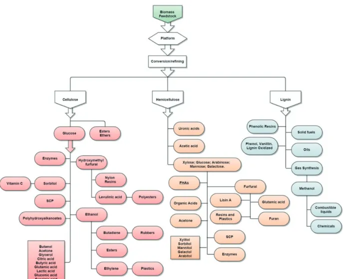 Figure 2. Some high value products from biorefi neries. 