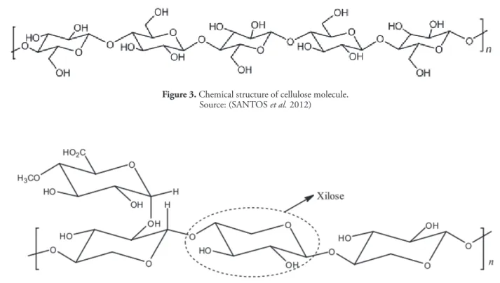 Figure 3. Chemical structure of cellulose molecule.