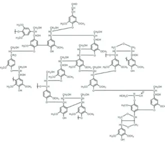 Figure 5. Chemical structure of eucalypt lignin molecule. 