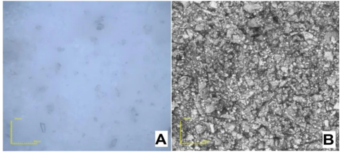 Figura 4: Micrografia ótica do resíduo de mármore calcinado, aumento 116x. (A) Colorida; (B) Preto e Branco