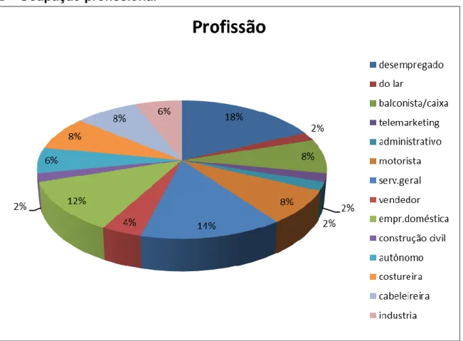 Gráfico - 2 Ocupação profissional   Fonte: Arquivo dos autores 