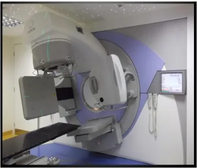 Figura 5 - Software Focal® com bexiga e reto delineados no CBCT e volumes desses órgãos