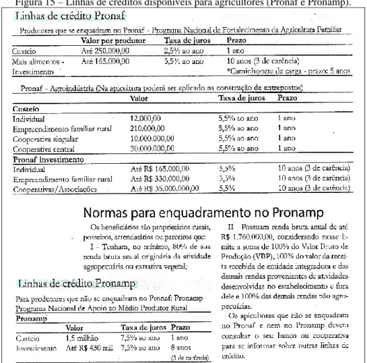 Figura 15 – Linhas de créditos disponíveis para agricultores (Pronaf e Pronamp). 