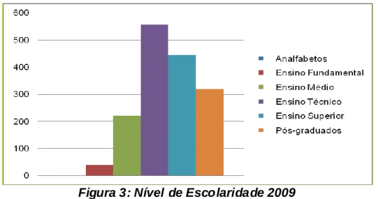 Figura 3: Nível de Escolaridade 2009   Fonte: dados da pesquisa 